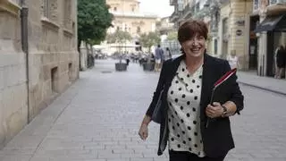 La AVL defiende que la normativa actual es "suficientemente amplia para que todos los valencianos se sientan representados"