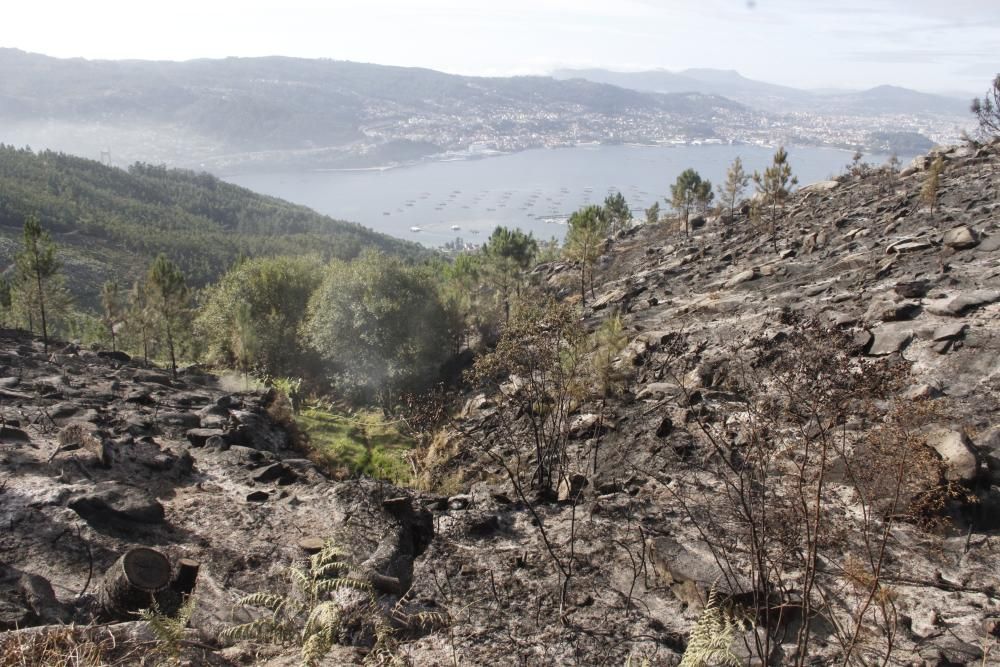 Incendios en Galicia | Un incendio nocturno quema 15 hectáreas en Domaio sobre el puente de Rande