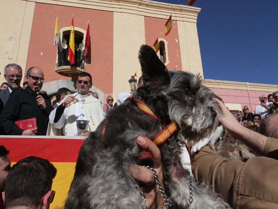 Los vecinos de Cartagena se han acercado junto a sus mascotas a recibir la bendición