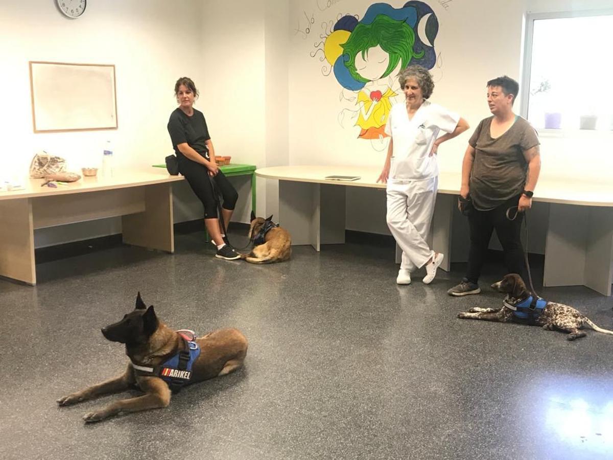 Los perros Horus, Narco y Chocolate esperando iniciar la sesión de terapia con los enfermos de Salud Mental.