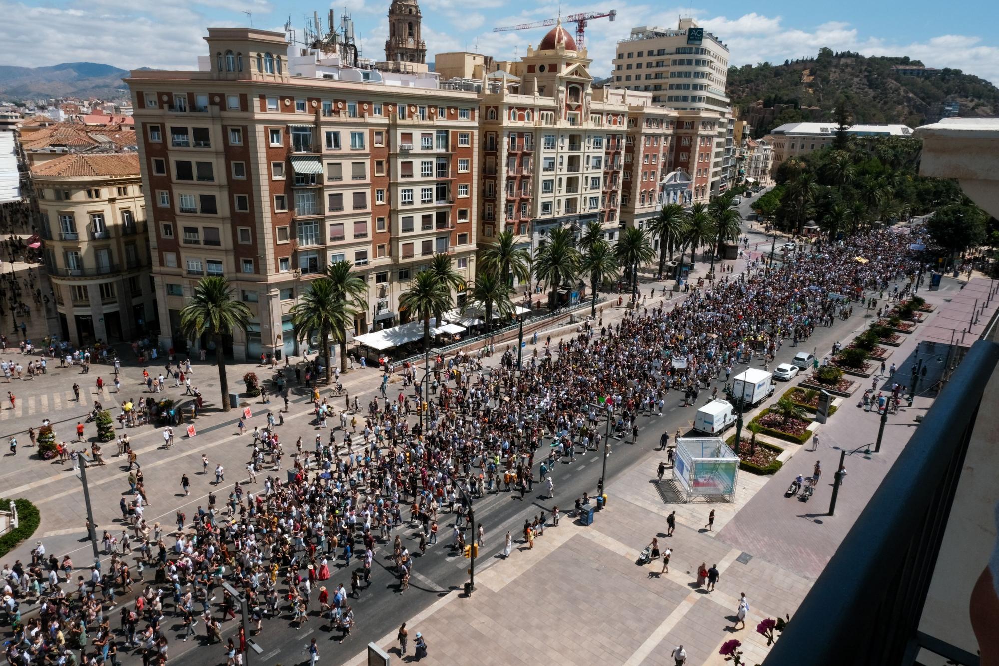La manifestación por una vivienda digna recorre las calles del Centro de Málaga este 29 de junio.