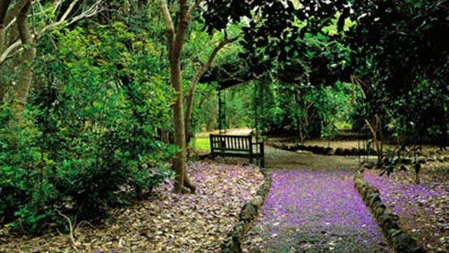 El Jardín Botánico Viera y Clavijo, accesible a todos en un juego de ordenador