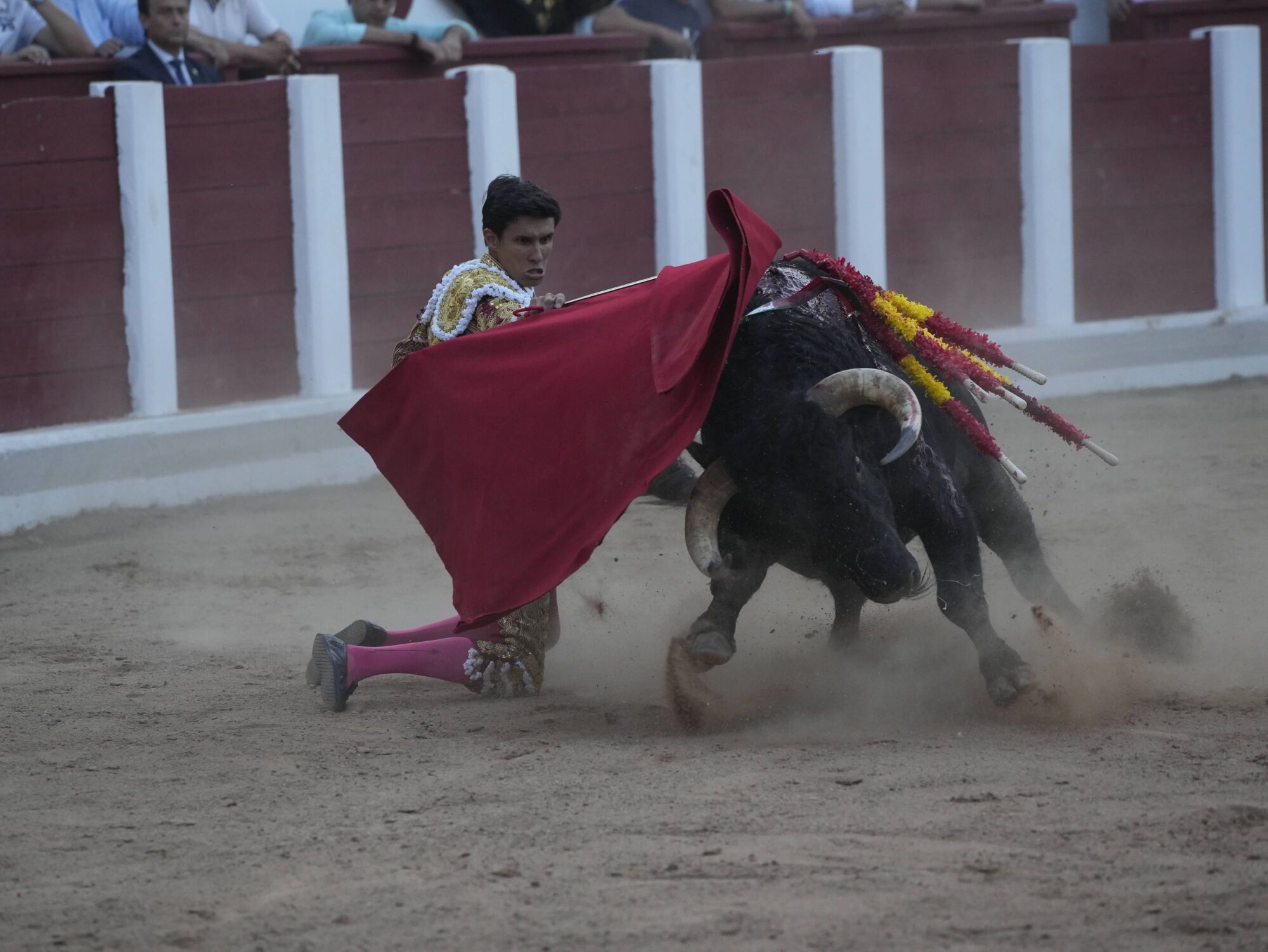 Las mejores imágenes de la feria taurina de San Pedro en Zamora.