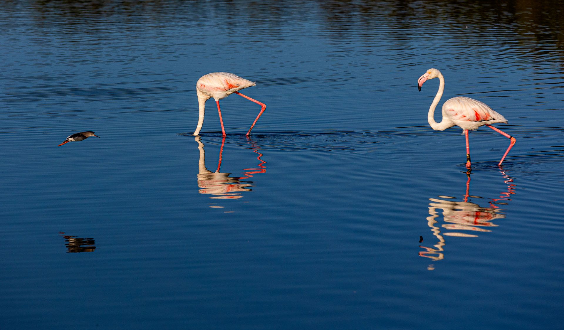 Un parque natural muy vivo