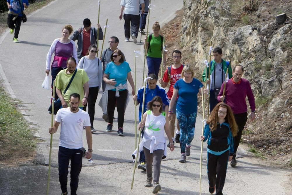 Romería a la ermita de Santa Anna de la Llosa de Ranes