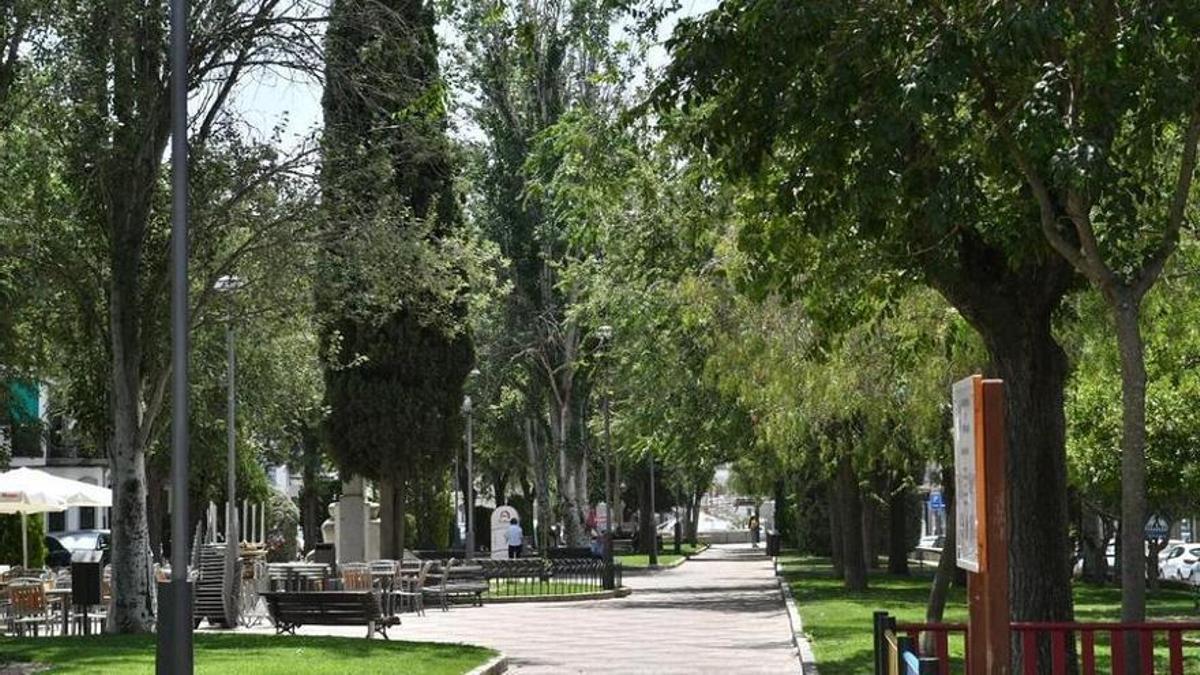 Una parte de la cuantía recibida por el canon del agua en Pozoblanco se destinará a mejorar jardines municipales.