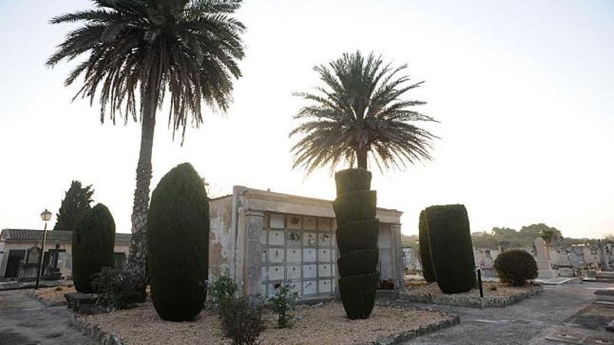 Estos nichos del cementerio de Porreres están construidos sobre las fosas.