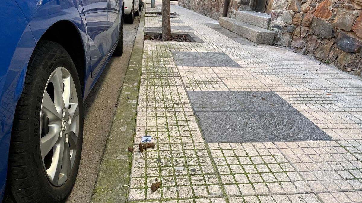 Imagen de una de las heces de los perros con una banderita de Israel.