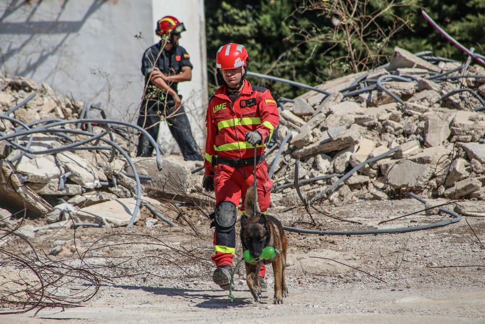 Los efectivos han realizado el simulacro en tres municipios de la Vega Baja