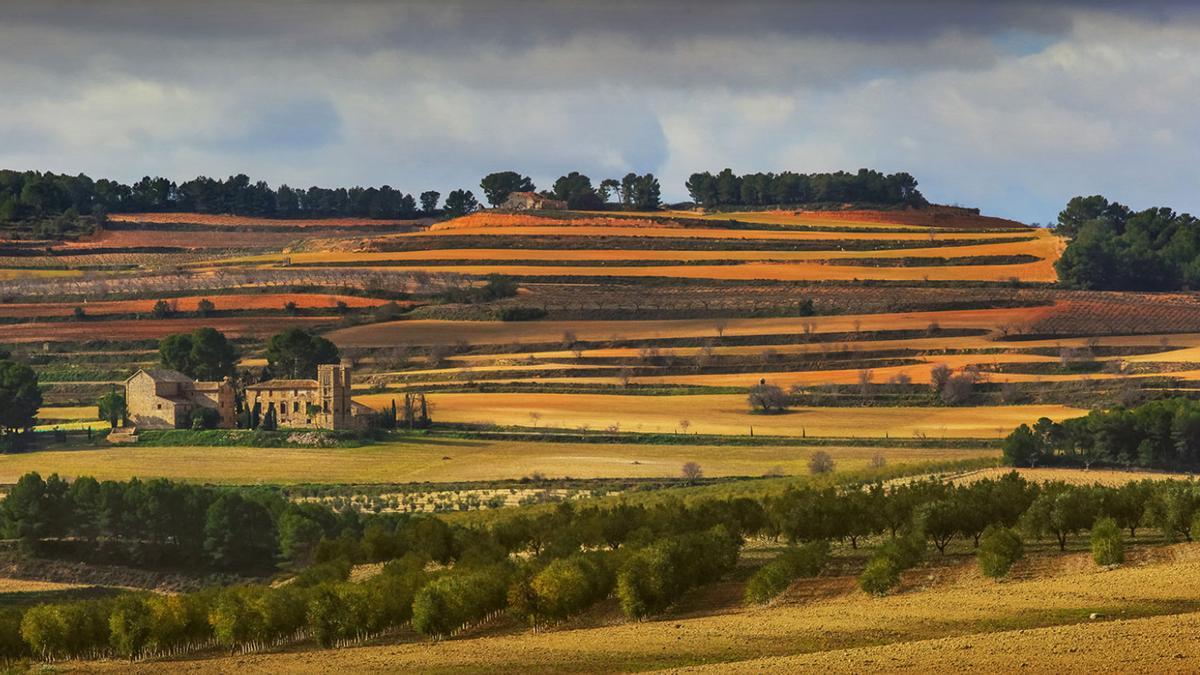 Paisaje alrededor de la bodega de Celler del Roure, en les Terres dels Alforins.