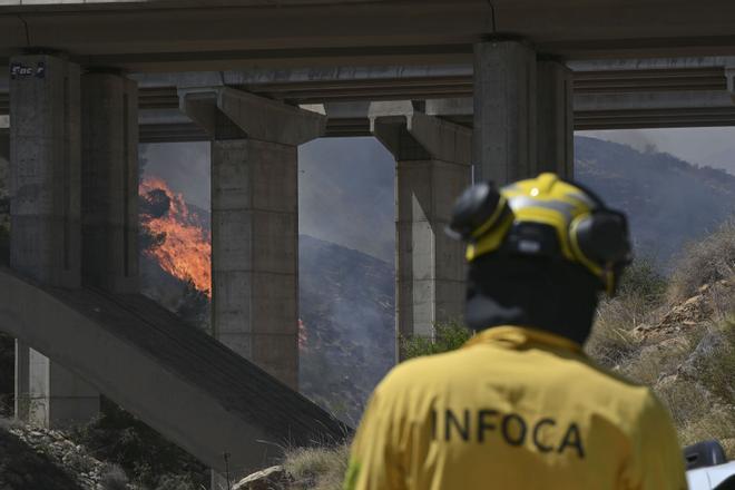 Se elevan a siete las denuncias por desaparecidos en el incendio de Los Gallardos, en Almería, y terminan las 12 autopsias