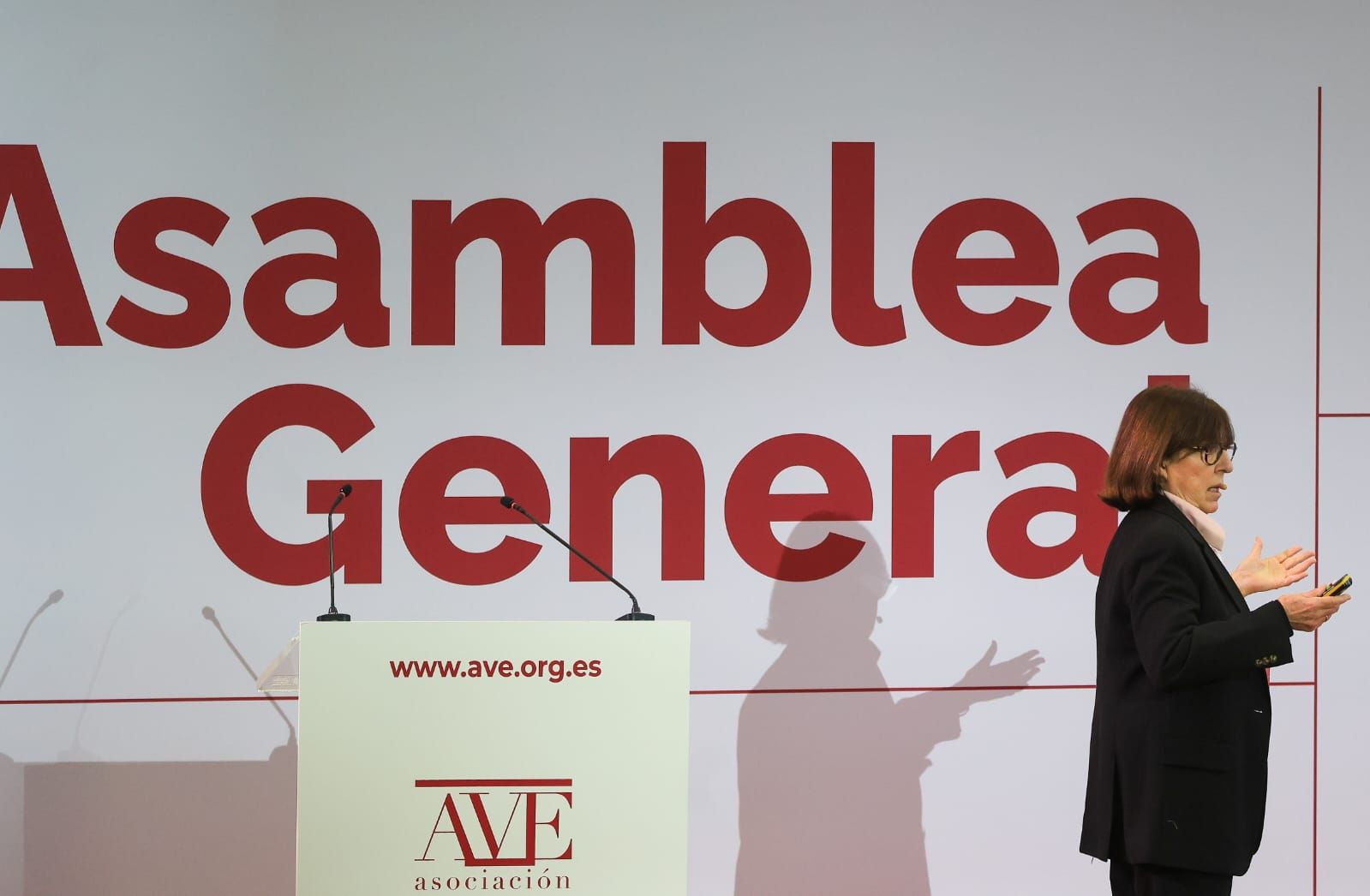 Asamblea General de AVE en València
