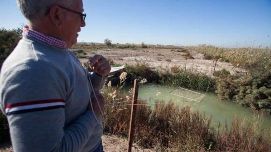 Los santapoleros se plantan por el medio ambiente