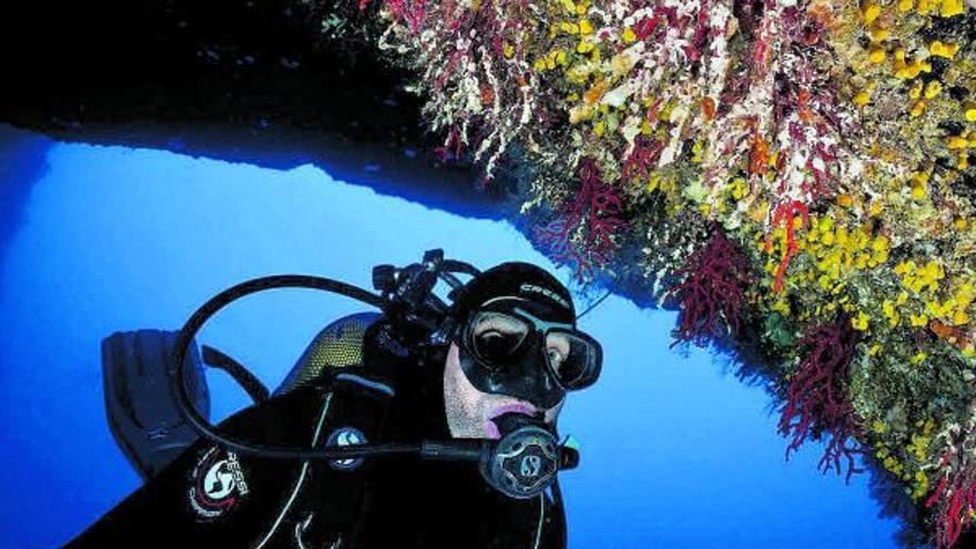 Un científico analiza una población de corales del Mediterráneo afectada por el calor extremo.