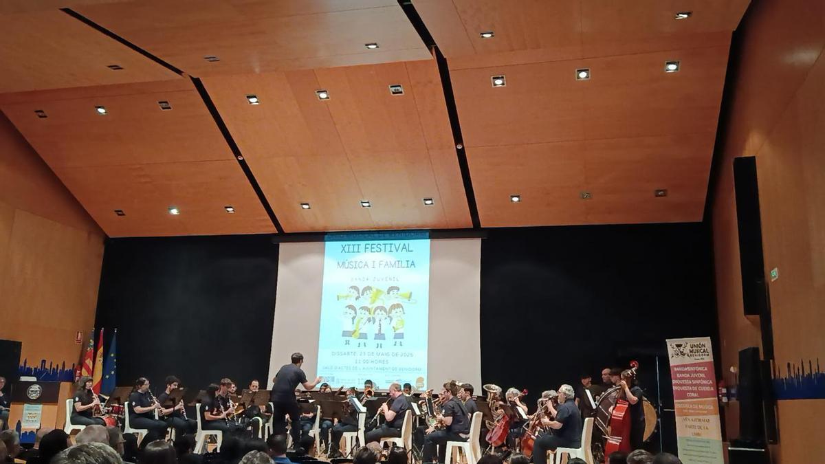 Imatges de les últimes edicions del Festival Música i Família.