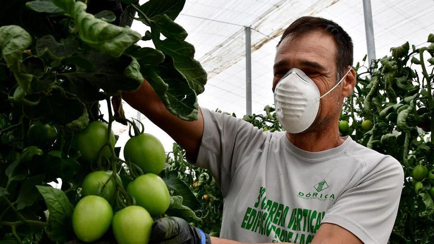 Un agricultor de La Mojonera.