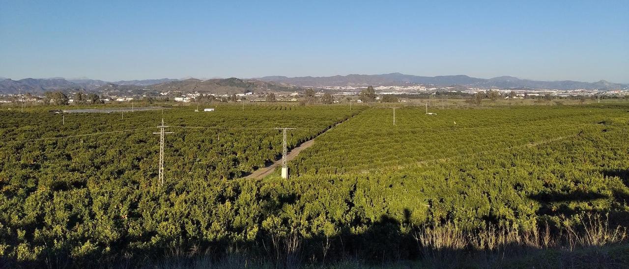 Vista de la Vega de Mestanza.