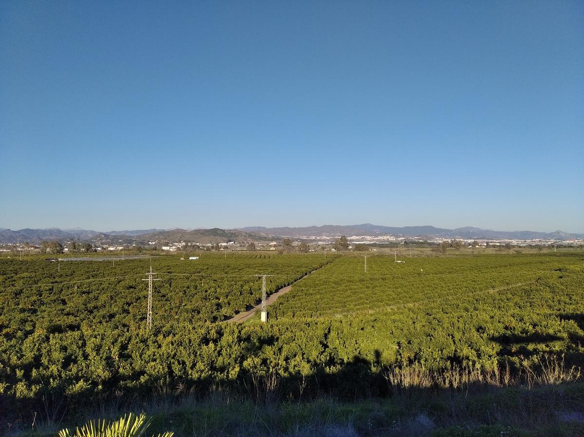 Vista de la Vega de Mestanza.