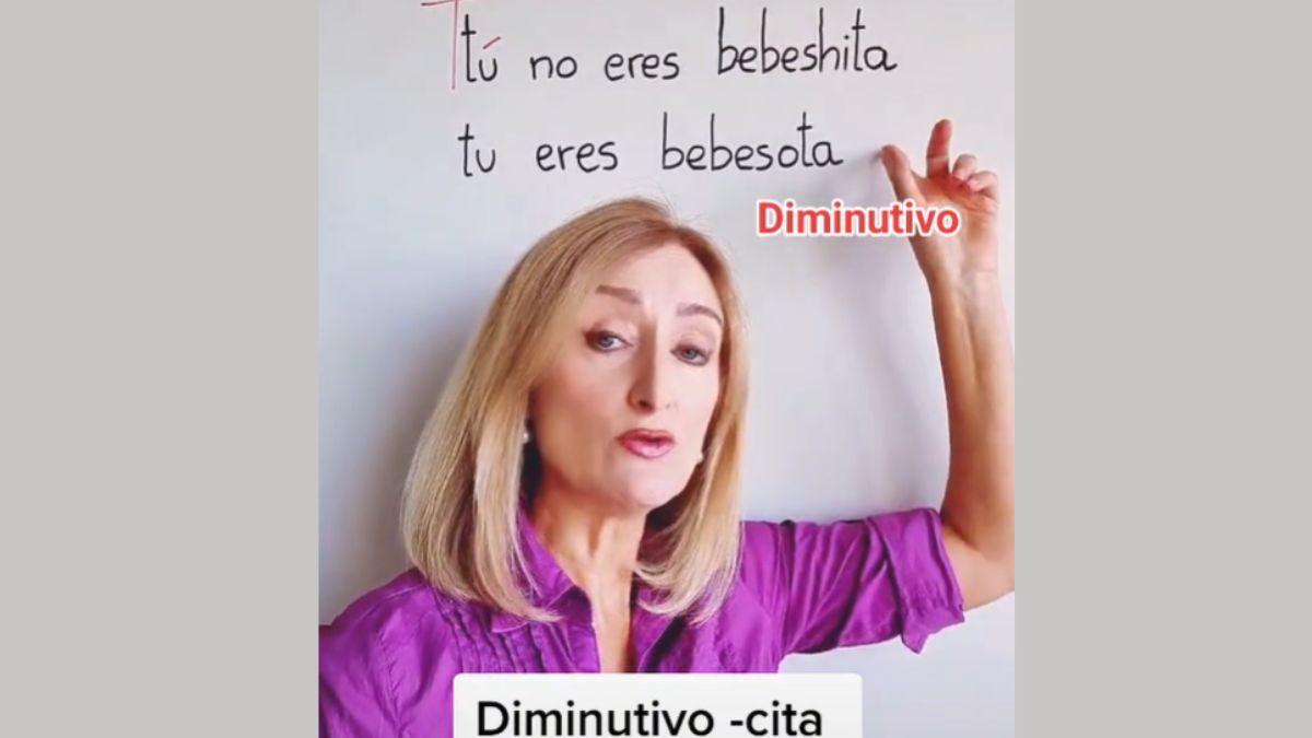 PROFESORES TIKTOK: La profesora de Lengua que arrasa en TikTok por sus  lecciones con canciones de reggaetón