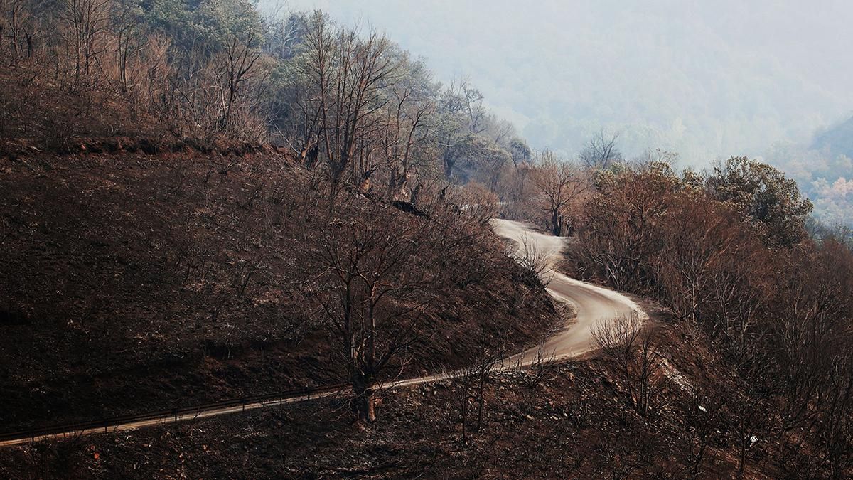 Imagen de los alrededores del pueblo de Lusio, en el municipio berciano de Oencia, en León, que ha quedado arrasado por las llamas