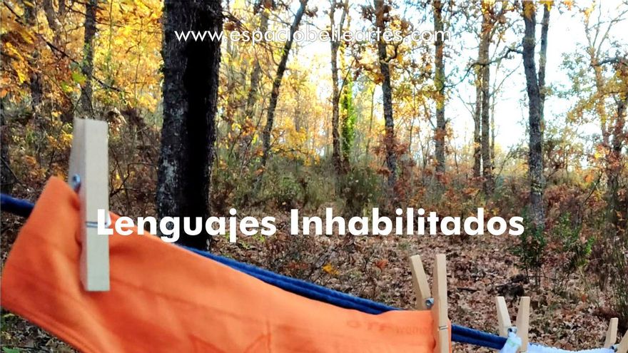 Lenguajes inhabilitados