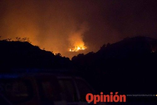 Incendio en la Zarcilla de Ramos