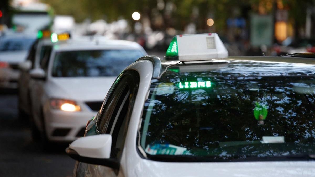 SOS del sector del taxi en el salón de plenos