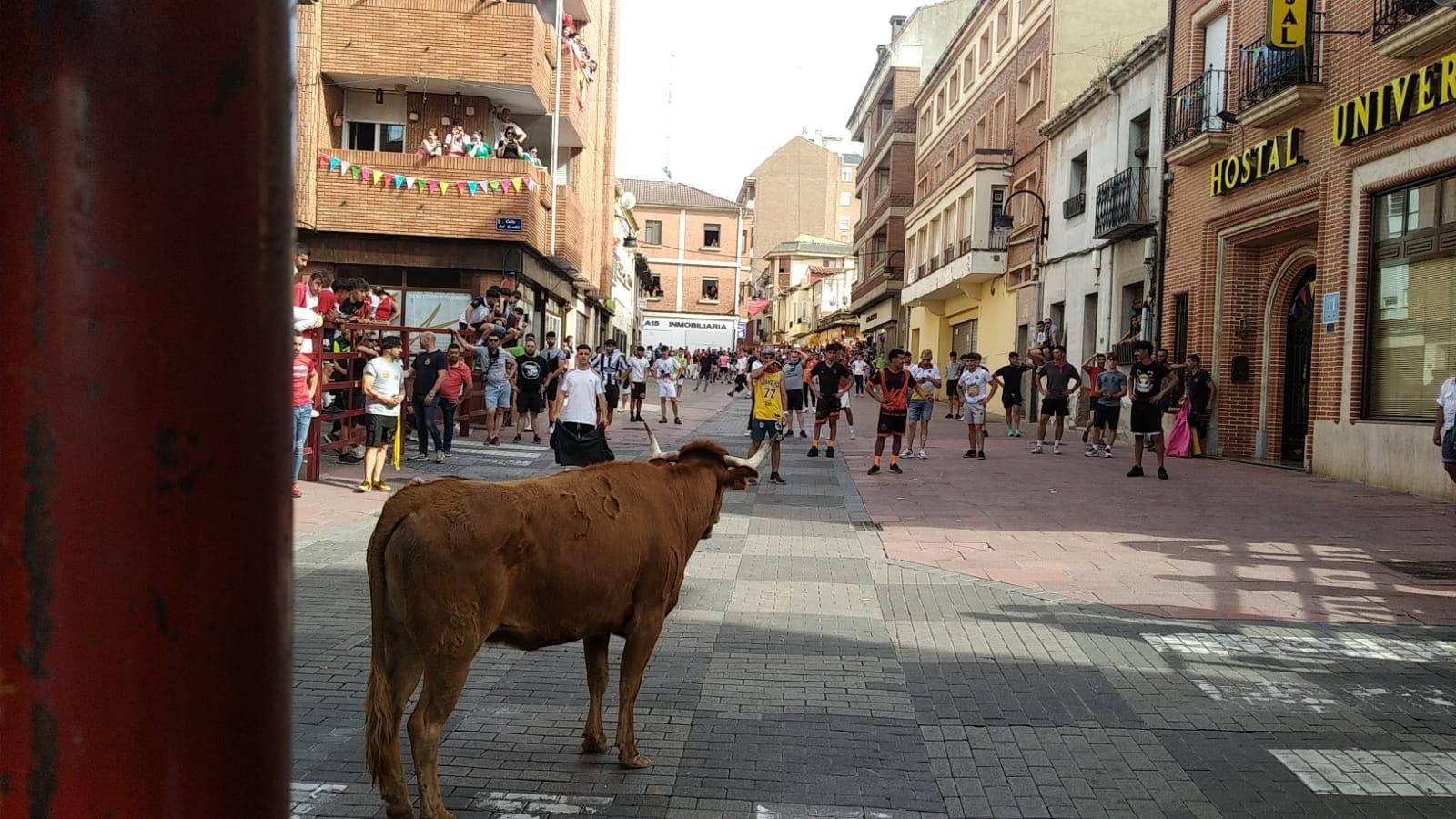 GALERÍA | Emoción y muchas carreras con la vaca Rabona