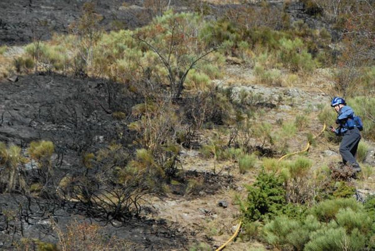 Efectius treballen a la serra de Santa Creu.