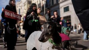 La Plataforma NAC ha organizado manifestaciones en más de 40 ciudades españolas en contra del uso de perros en la caza