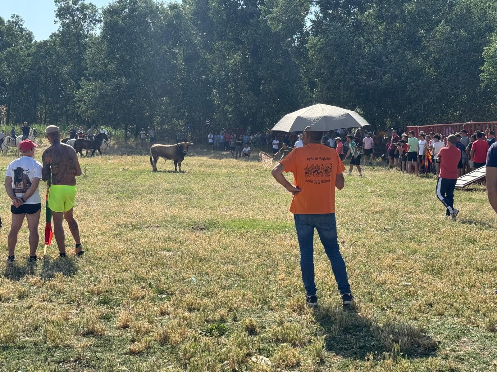 GALERÍA | Encierro bajo el bochorno en Vadillo de la Guareña
