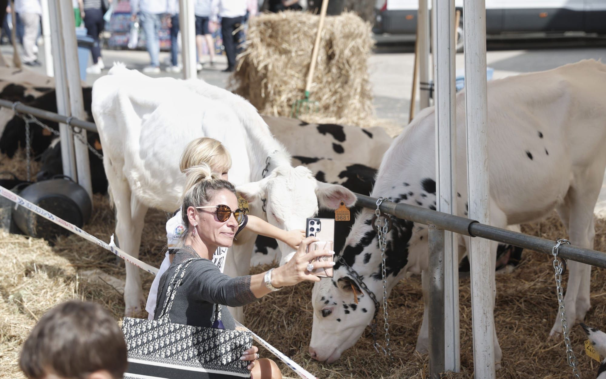 FOTOS | Las ferias de este domingo en distintos pueblos de Mallorca, en imágenes