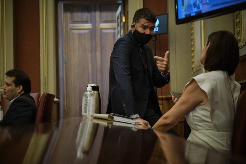 Pleno Sesión Ordinaria + Extraordinario Ayuntamiento de Santa Cruz de Tenerife  | 29/05/2020 | Fotógrafo: Andrés Gutiérrez Taberne