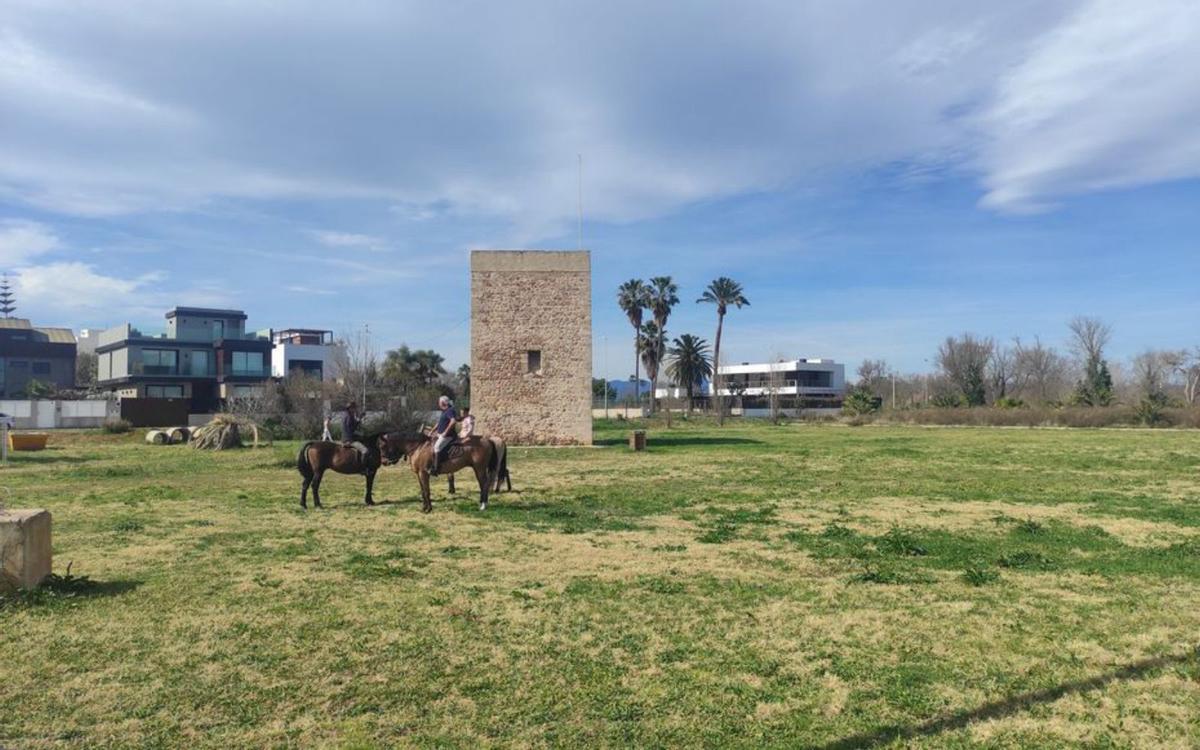 La gastronomía y la cultura son algunos alicientes de la época estival en la localidad, que se materializan en propuestas como las jornadas ‘Productos de Nuestra Lonja’ y el cine de verano en el enclave de la Torre de la Mar.