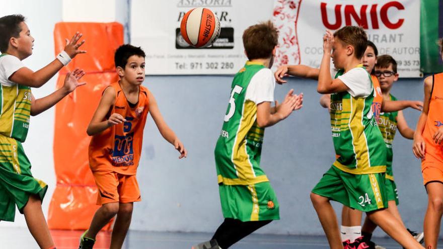 Imagen de un partido de baloncesto de base