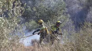 El PSPV pide una unidad de refuerzo para los bomberos forestales de la Vall d'Albaida