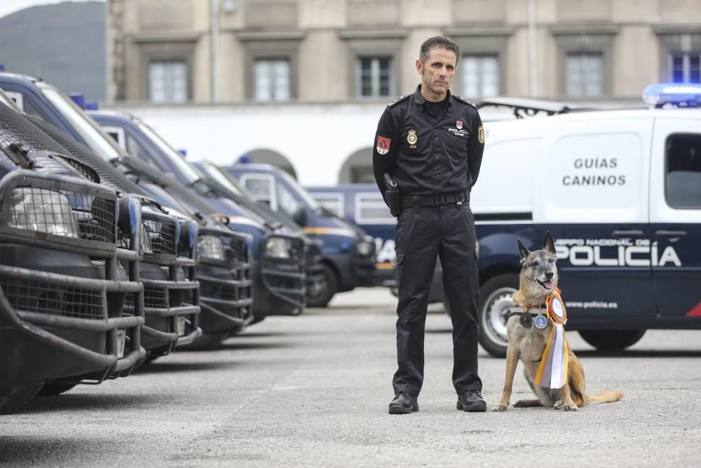 "Lúa" la perra policía