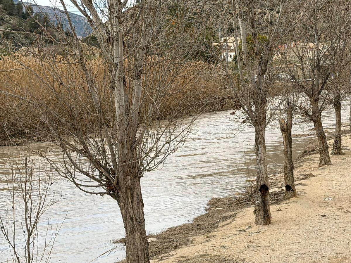 El río Segura esta mañana a su paso por Blanca.