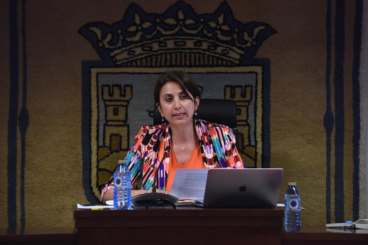 María Nogareda durante el último pleno del mandato