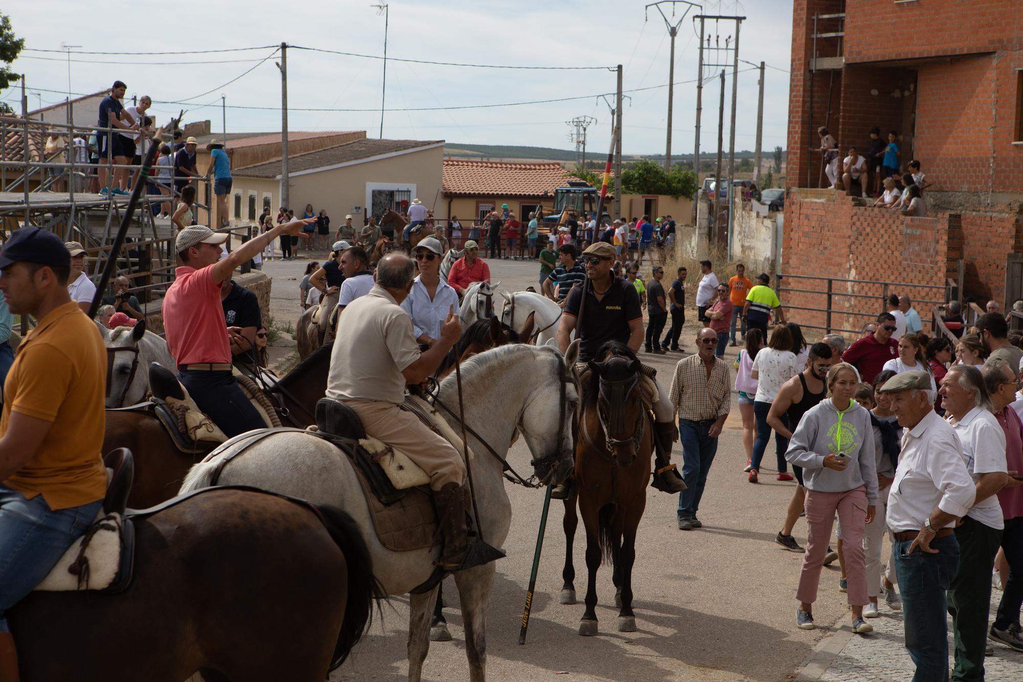 GALERÍA | Revive el segundo encierro mixto de las fiestas de Villalpando