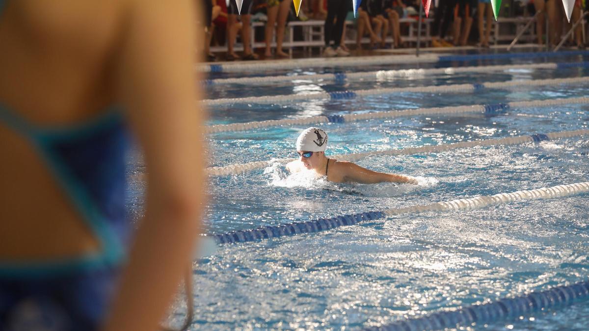 Nadadores en una prueba deportiva