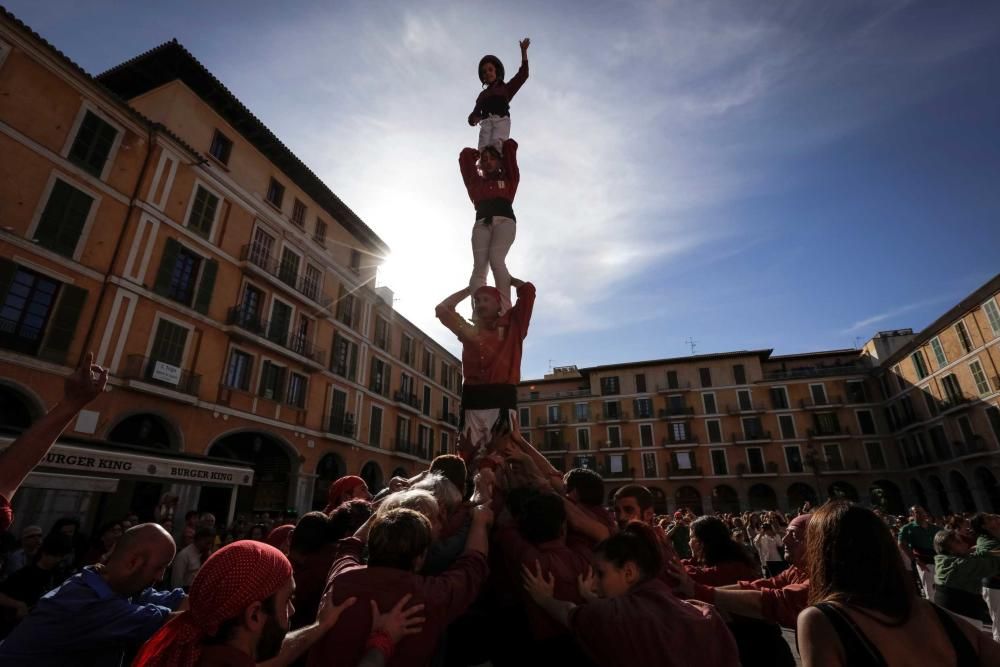 Diada per la Llengua