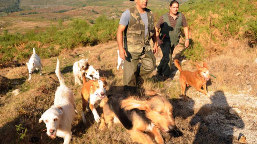 Cazadores con perros en el monte de Cotobade