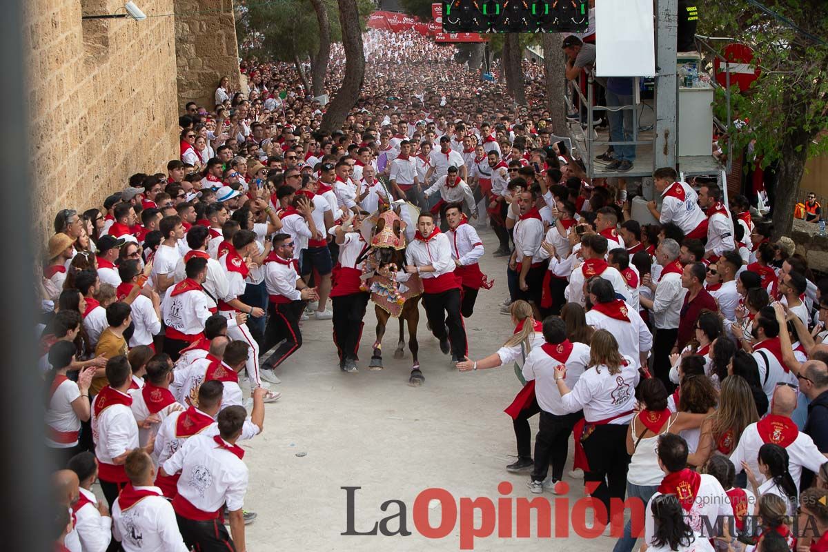 Así ha sido la carrera de los Caballos del Vino en Caravaca