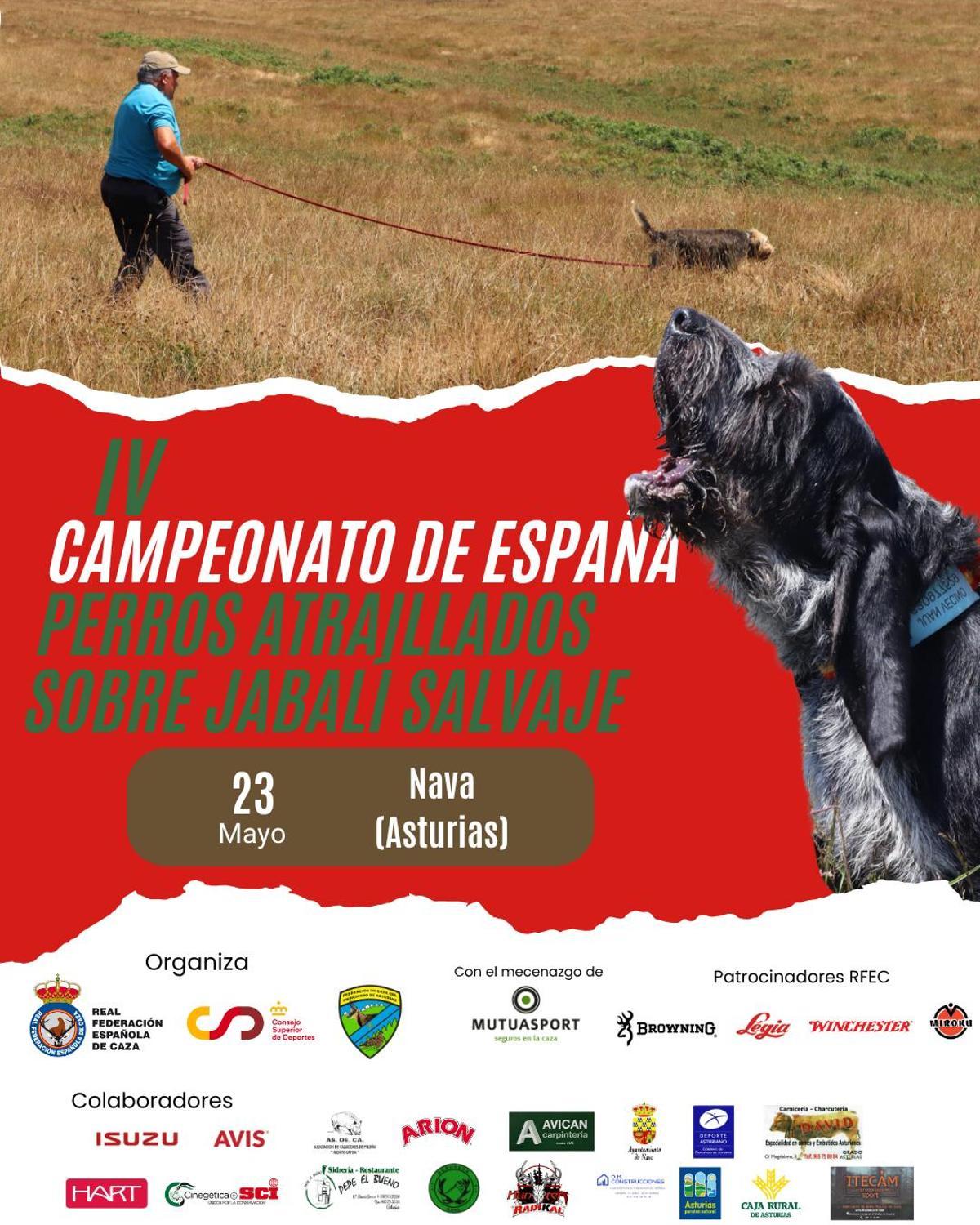 IV Campeonato de España