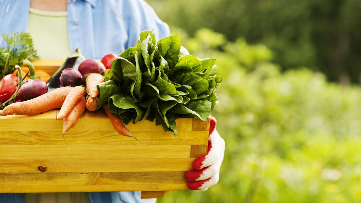 Con la llegada de la primavera llegan también algunos alimentos de temporada perfectos para nuestra dieta.