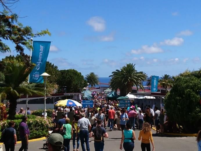 Feria de Ganado 2017 en Arucas