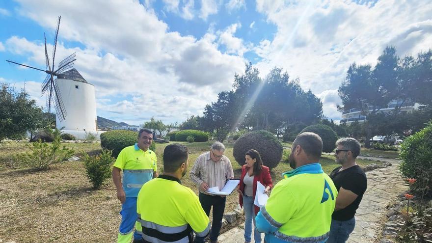 Esparto, hinojo, margaritas del pan y muchas lagartijas de Ibiza: así serán los jardines de Sa Punta des Molí