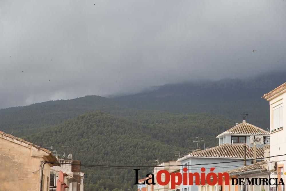 Último encierro en las Fiestas de Moratalla