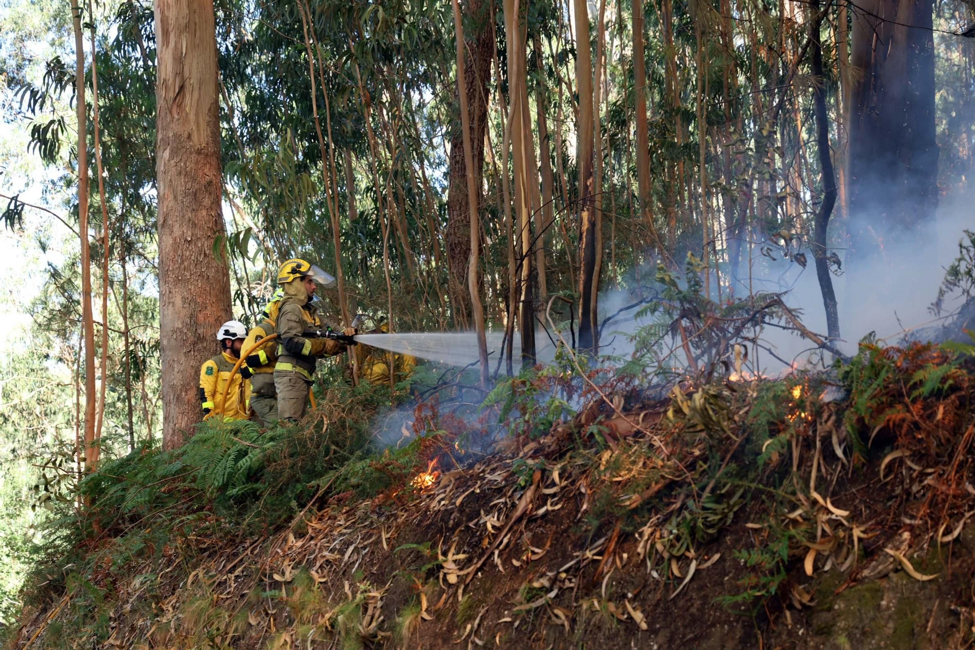 Espectacular incendio forestal en Meaño